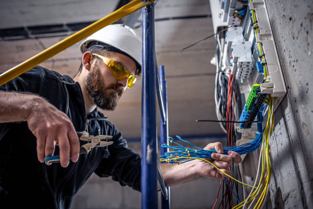 Best Electric Panel Repair  in Pleasant Valley, WV